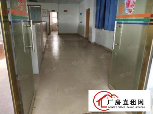  平湖罗山工业区现空出国有双证独院厂房分租