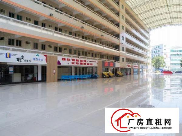  布吉联创科技园676平厂房开发商直租厂房享政府三年补贴
