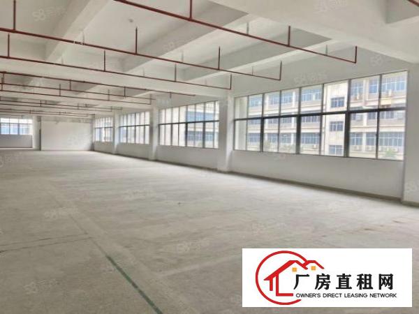  布吉联创科技园676平厂房开发商直租厂房享政府三年补贴
