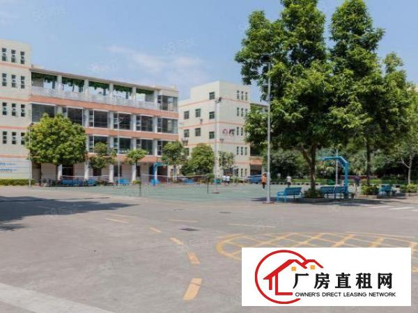  布吉联创科技园676平厂房开发商直租厂房享政府三年补贴