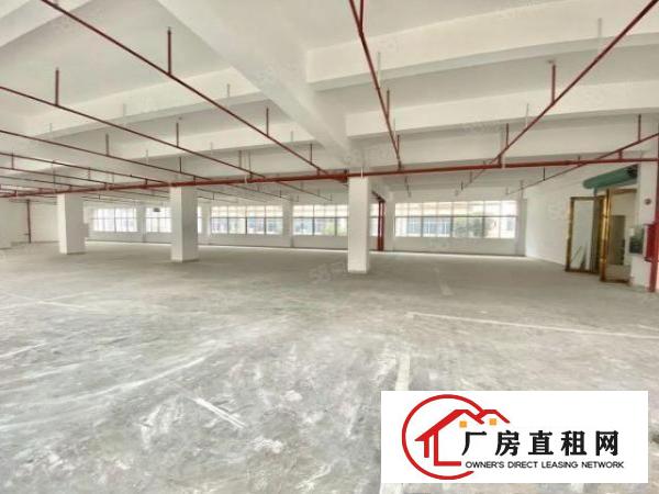  布吉联创科技园676平厂房开发商直租厂房享政府三年补贴