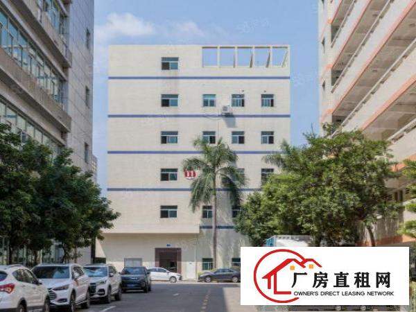  布吉联创科技园676平厂房开发商直租厂房享政府三年补贴