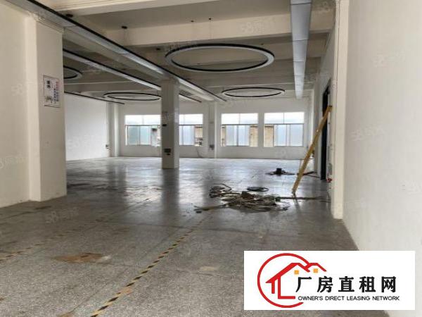  平湖独院一楼1850平米，合同十年