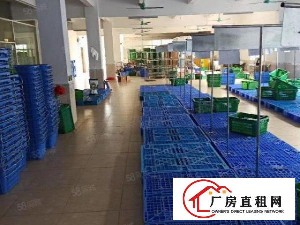  深圳市龙岗区平湖新木村一楼厂房带冷库招租面积2500平米