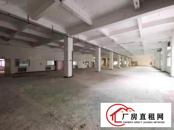  出租龙岗平湖2万平物流仓带卸货平台，一楼层高7米