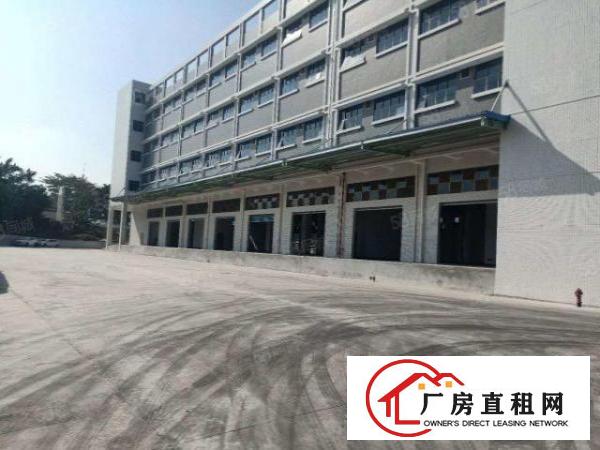  出租龙岗平湖2万平物流仓带卸货平台，一楼层高7米