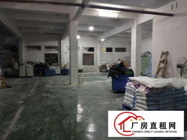  凤凰大道厂房一楼550平方出租