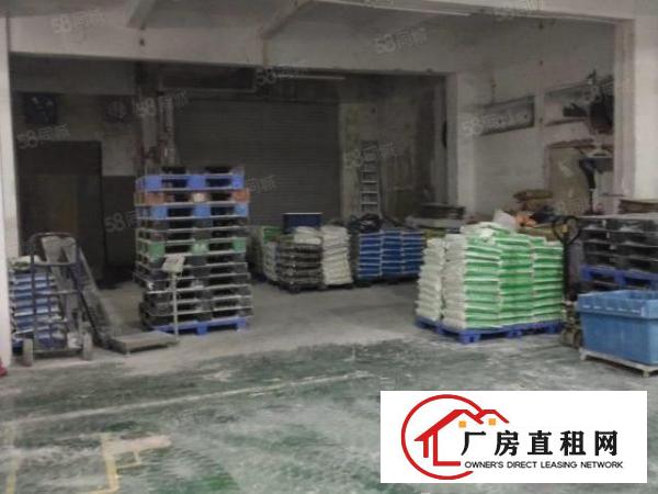  凤凰大道厂房一楼550平方出租