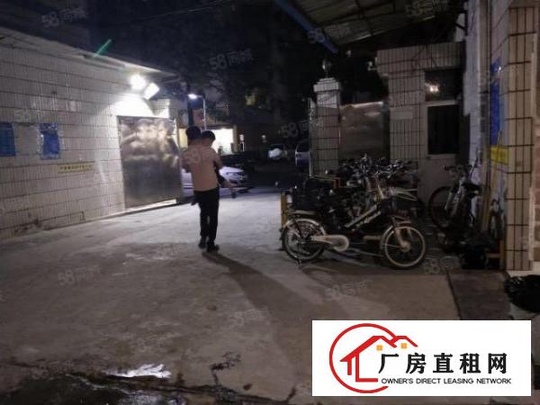  凤凰大道厂房一楼550平方出租