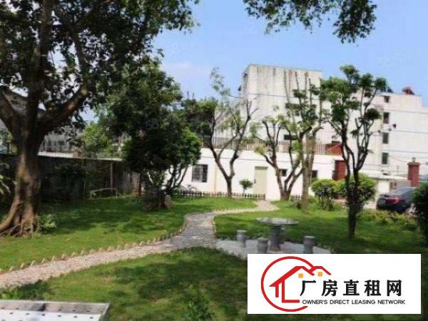  平湖新南社区3楼值班厂房1200平20元一平火爆招租