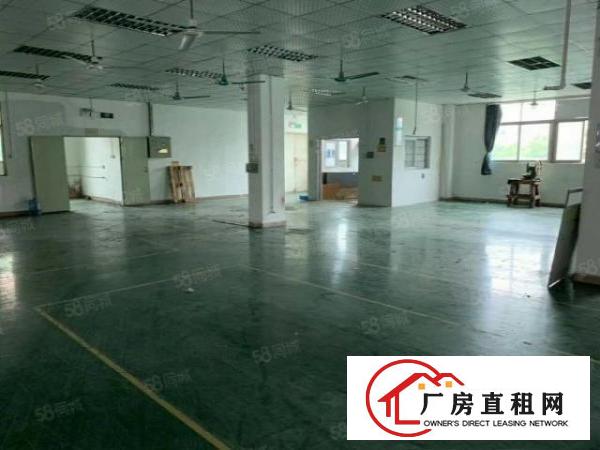  丹平快速路口小独院火爆招租中