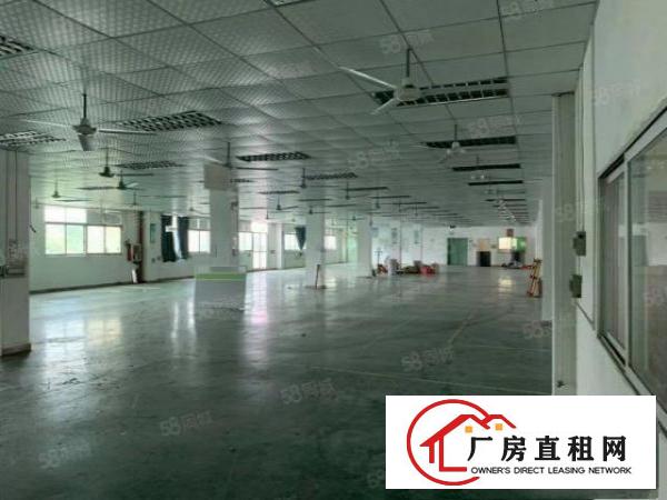  丹平快速路口小独院火爆招租中