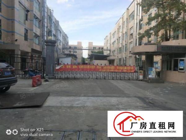  平湖华南城标准厂房招租，一楼，二楼各900平米三楼600平米