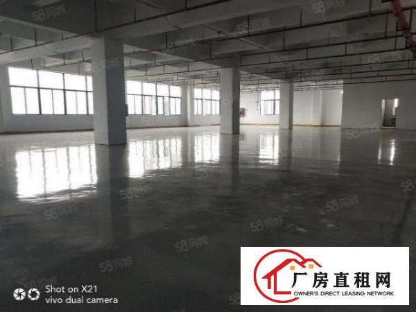  平湖华南城标准厂房招租，一楼，二楼各900平米三楼600平米