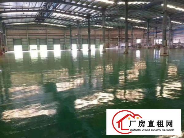  平湖新出独院钢构独院厂4000平出租