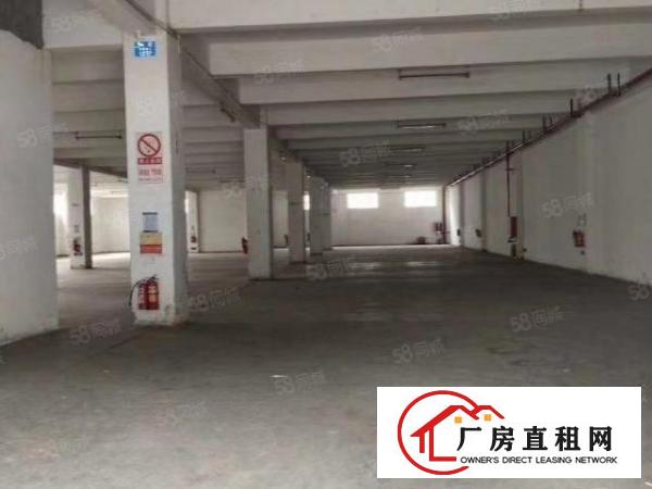  山厦工业区标准厂房一楼1680平米招租