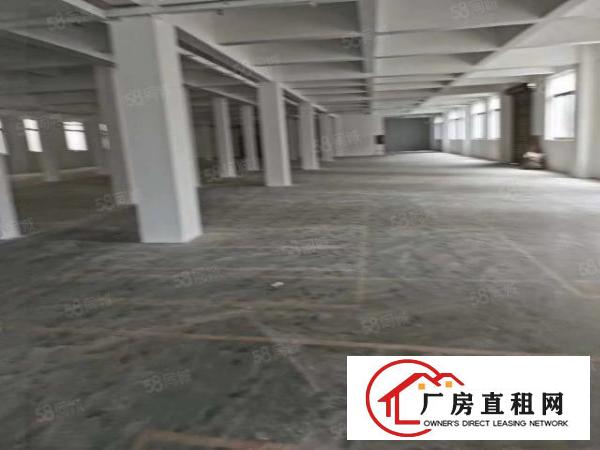  深圳市龙岗区平湖白泥坑海吉星一楼厂房招租面积800平可分租
