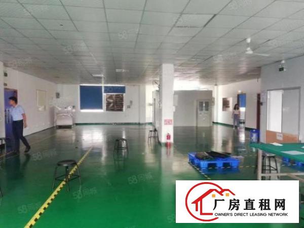  深圳市龙岗区平湖白泥坑海吉星一楼厂房招租面积800平可分租