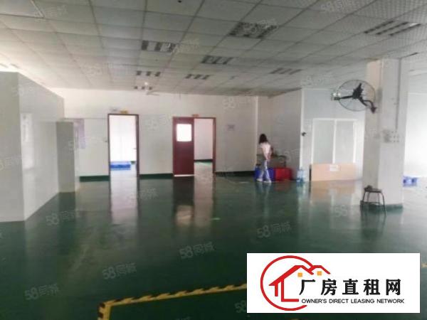  深圳市龙岗区平湖白泥坑海吉星一楼厂房招租面积800平可分租