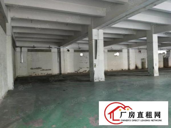  新厦工业城厂房出租一楼