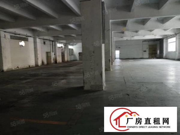  新厦工业城厂房出租一楼
