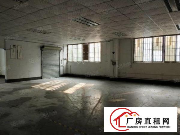  新厦工业城厂房出租一楼