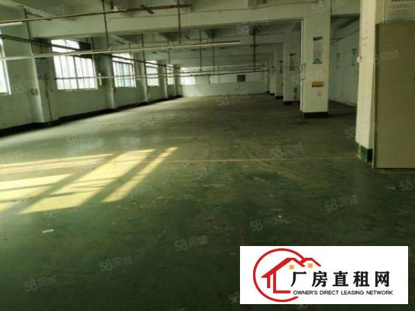  新厦工业城厂房出租一楼