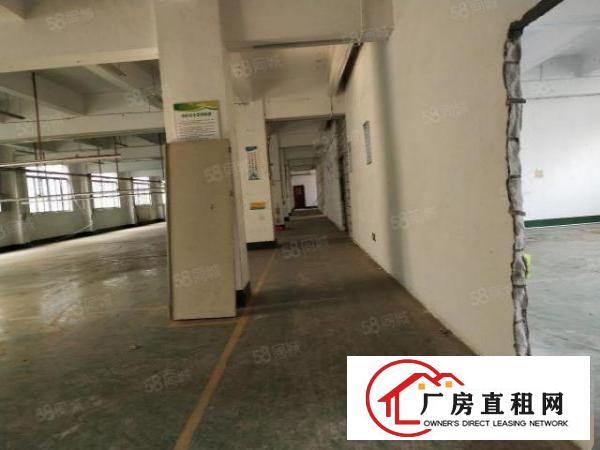  新厦工业城厂房出租一楼