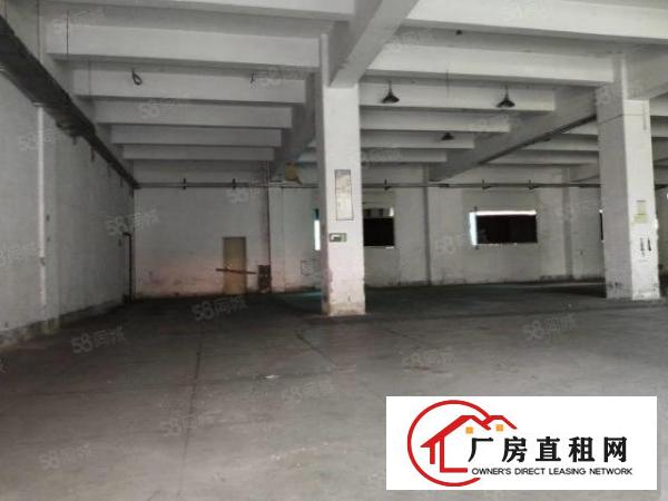  新厦工业城厂房出租一楼