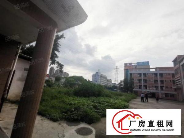  出租！原房东平湖靠近布吉独门独院1到3层6000平带装修出租