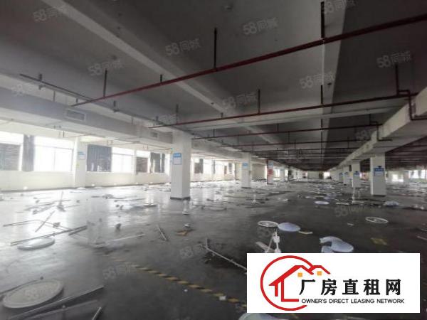  出租！原房东平湖靠近布吉独门独院1到3层6000平带装修出租