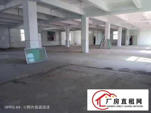  平湖鹅公岭原房东独院厂房2楼2331平分租有红本
