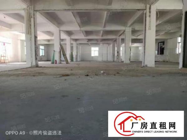  平湖鹅公岭原房东独院厂房2楼2331平分租有红本