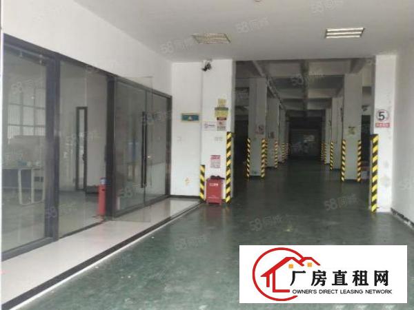  华南城附近厂房一楼2500平方带500平方冻库