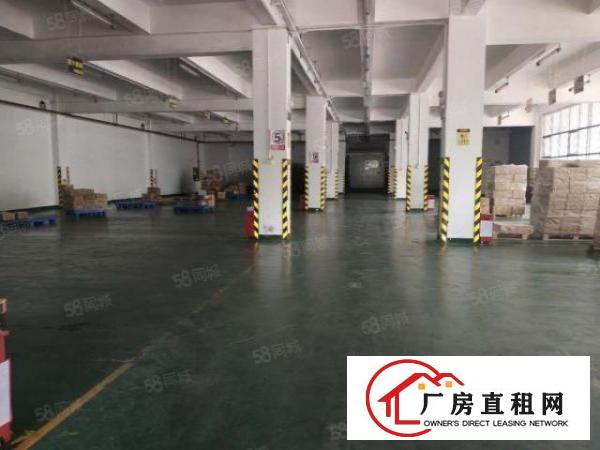  华南城附近厂房一楼2500平方带500平方冻库