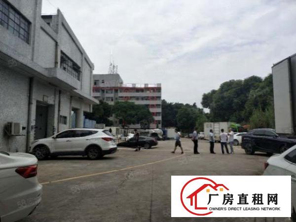  华南城附近厂房一楼2500平方带500平方冻库