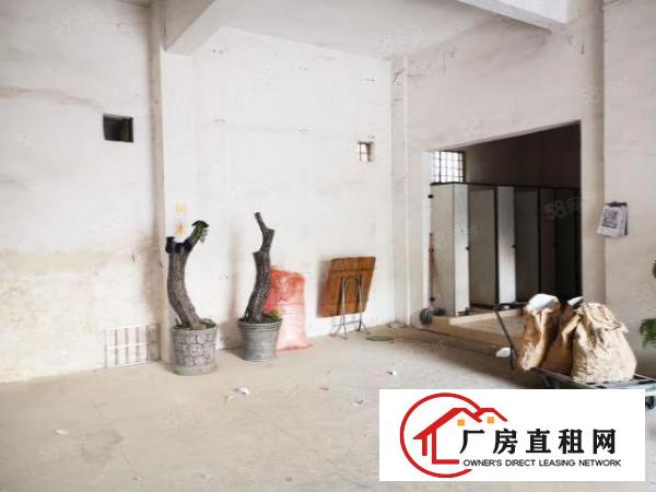  非中介）龙岗业主直租厂房