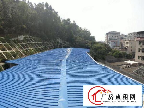  新出平湖经典独院厂房出租770平方