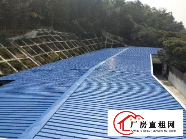  新出平湖经典独院厂房出租770平方