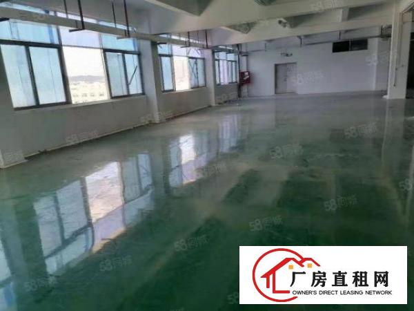  华南城工业区花园式独门独院厂房4700平米招租