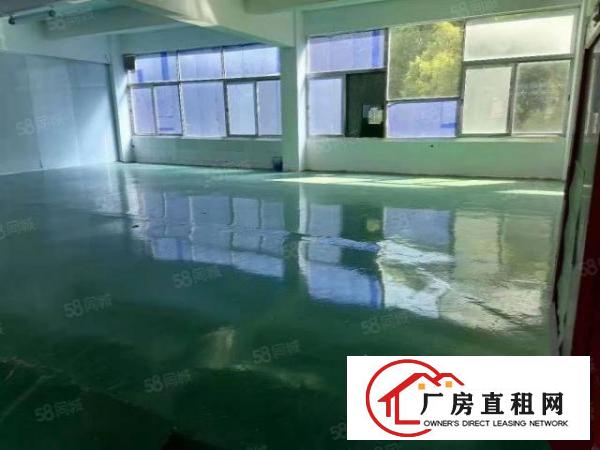  华南城工业区花园式独门独院厂房4700平米招租