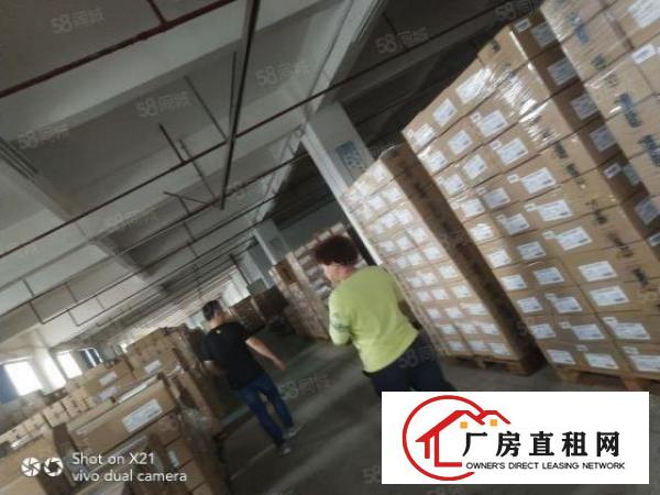  华南城近独院厂房4800平米单一层，500平米起租适合冻库