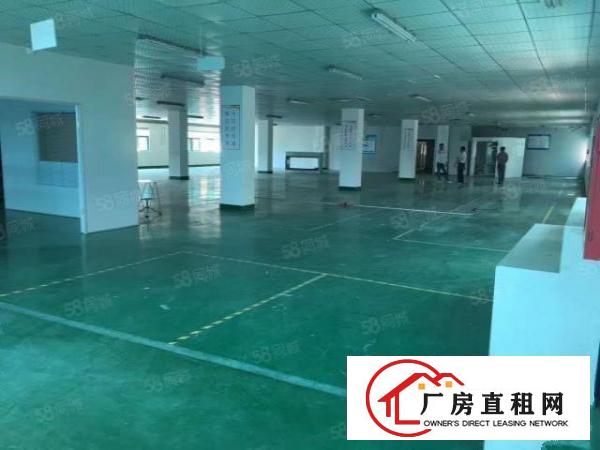  平湖华南城地铁口带装修3600平方独院厂房出租可分租