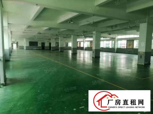  平湖华南城地铁口带装修3600平方独院厂房出租可分租