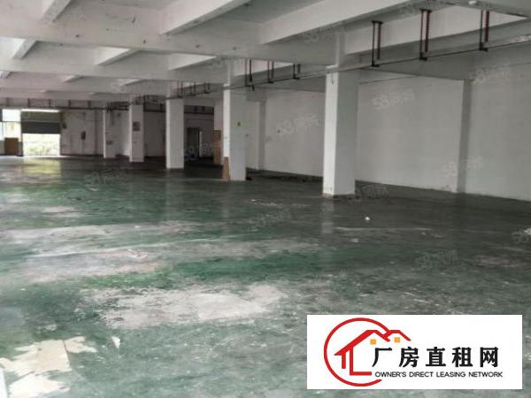  平湖，富民工业区厂房1000出租