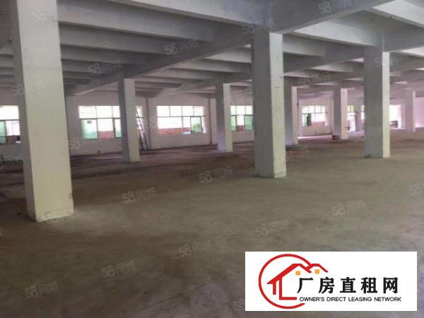  平湖上木古社区4楼3896平厂房出租独立办公室有红本