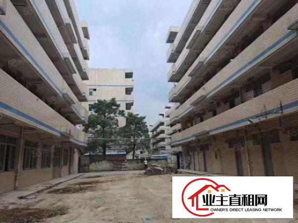  平湖独门独院厂房43600平方整租22元适合各行各业
