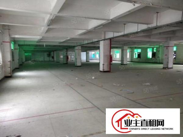  平湖独门独院厂房43600平方整租22元适合各行各业