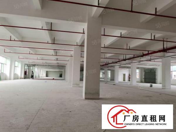  一楼标准厂房3560平米招租，厂房空地大合适冻库物流行业。