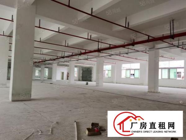  一楼标准厂房3560平米招租，厂房空地大合适冻库物流行业。